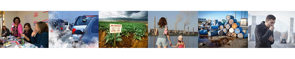Environmental Health investigations Branch Banner