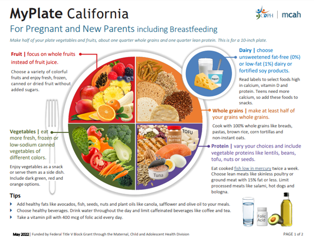 Preview of MyPlate flyer